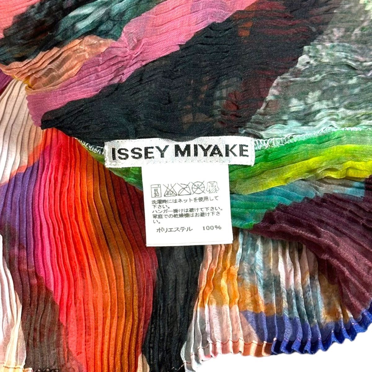 超美品】ISSEI MIYAKE プリーツ カットソー 長袖 マルチカラー