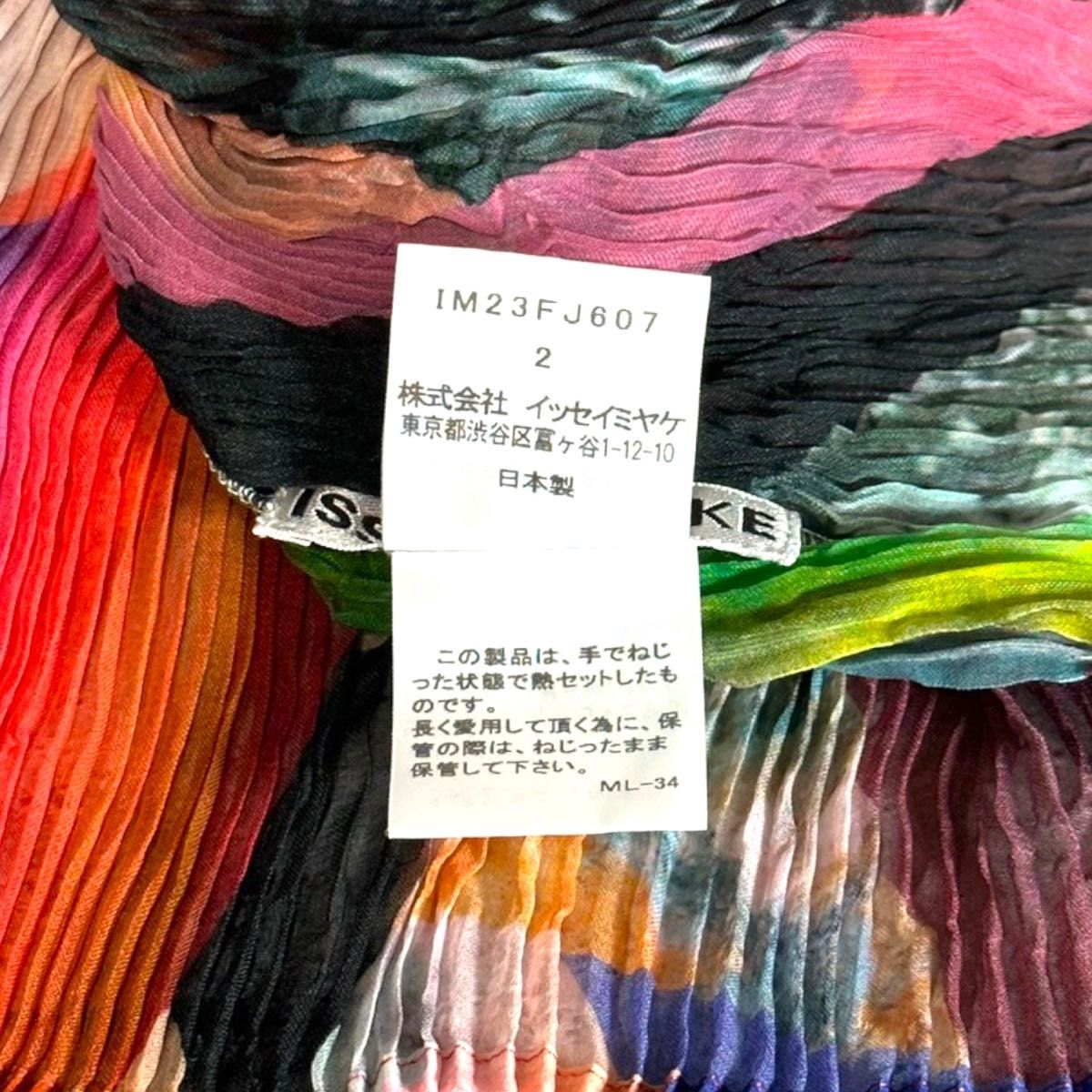 超美品】ISSEI MIYAKE プリーツ カットソー 長袖 マルチカラー