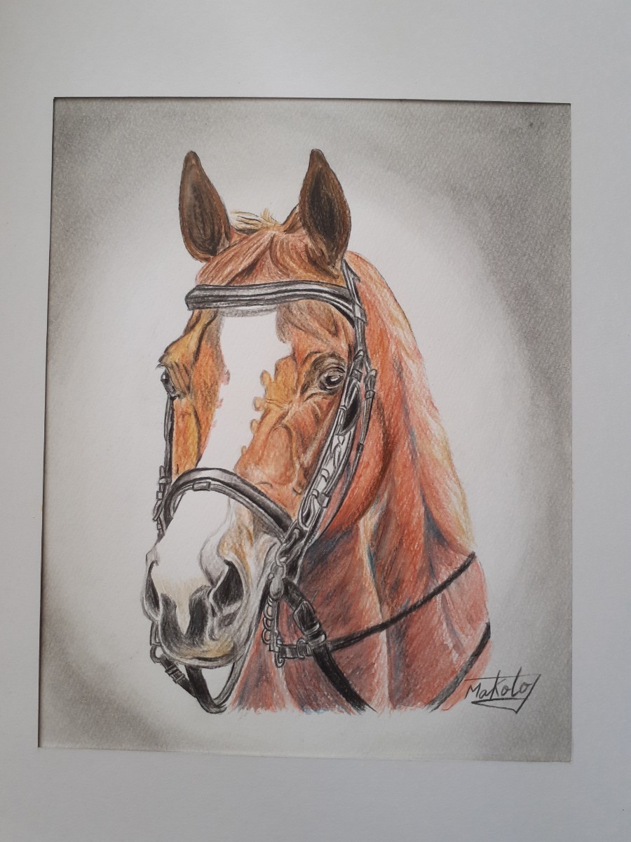 色鉛筆画 優駿牝馬 smanepa.sch.id