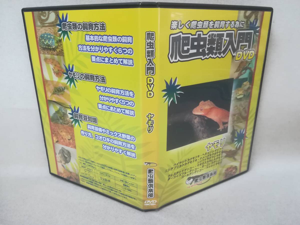 DVD 『爬虫類入門DVD ヤモリ』爬虫類倶楽部/飼育方法/基本/豆知識/ゲッコー/トカゲモドキ/爬虫類/ ※DVD-R仕様 03-6418_画像3