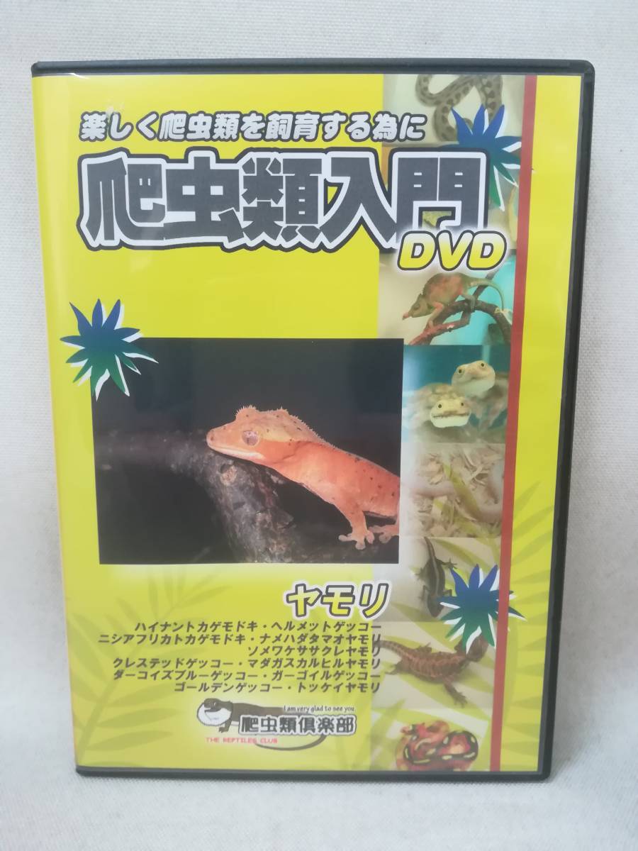 DVD 『爬虫類入門DVD ヤモリ』爬虫類倶楽部/飼育方法/基本/豆知識/ゲッコー/トカゲモドキ/爬虫類/ ※DVD-R仕様 03-6418_画像1