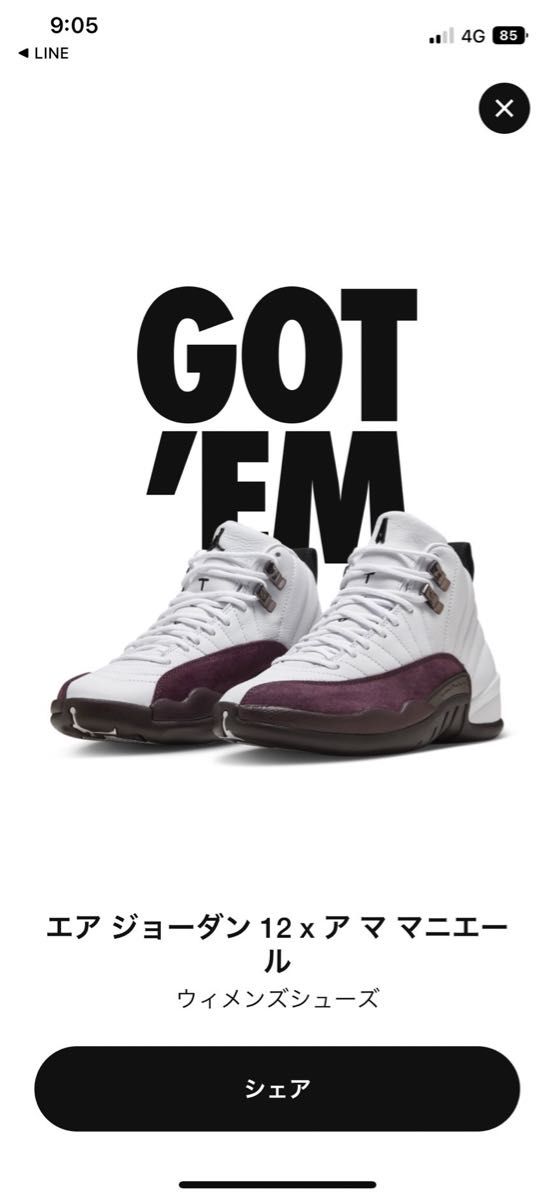 アママニエール×ナイキエアジョーダン12 NIKE AIR JORDAN