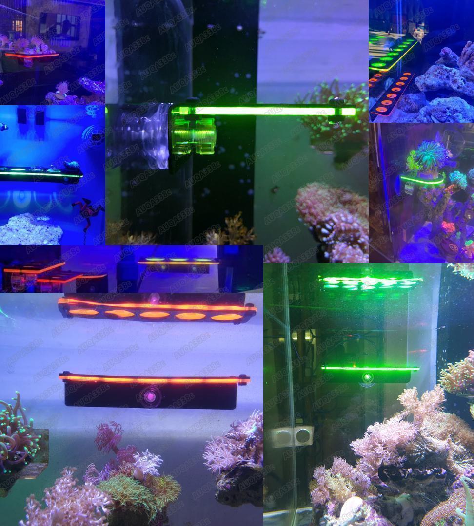  флуоресценция коралл f ковер подставка коралл f ковер подставка морская вода аквариум A0521