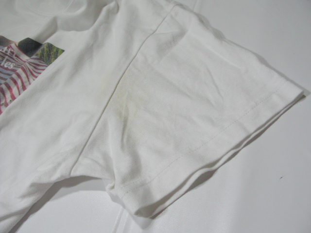 ssy5919 The Skirt Chronicles 半袖 Tシャツ ホワイト ■ フロントプリント ■ クルーネック Tim Elkaim Mサイズ コットン100の画像6
