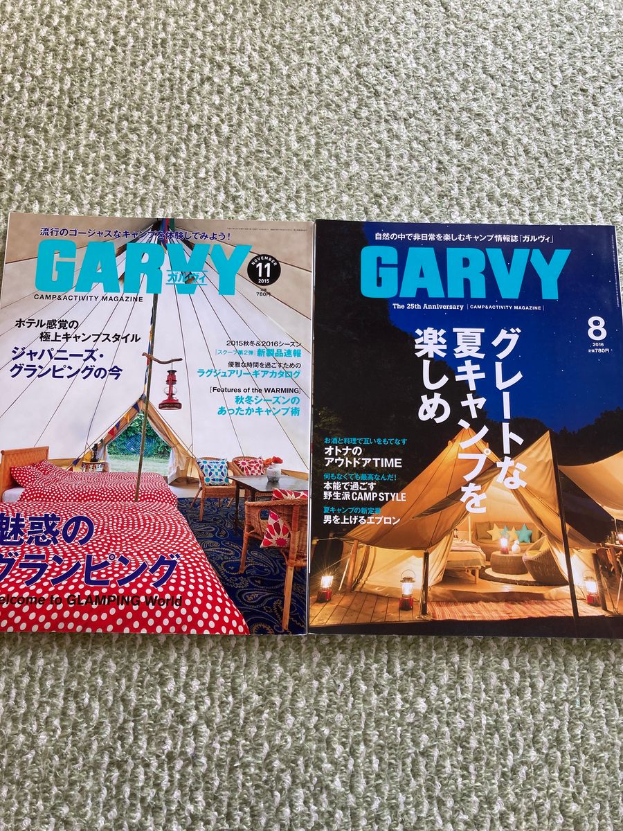 ガルビィ キャンプ雑誌 GARVY 2024年 1月号