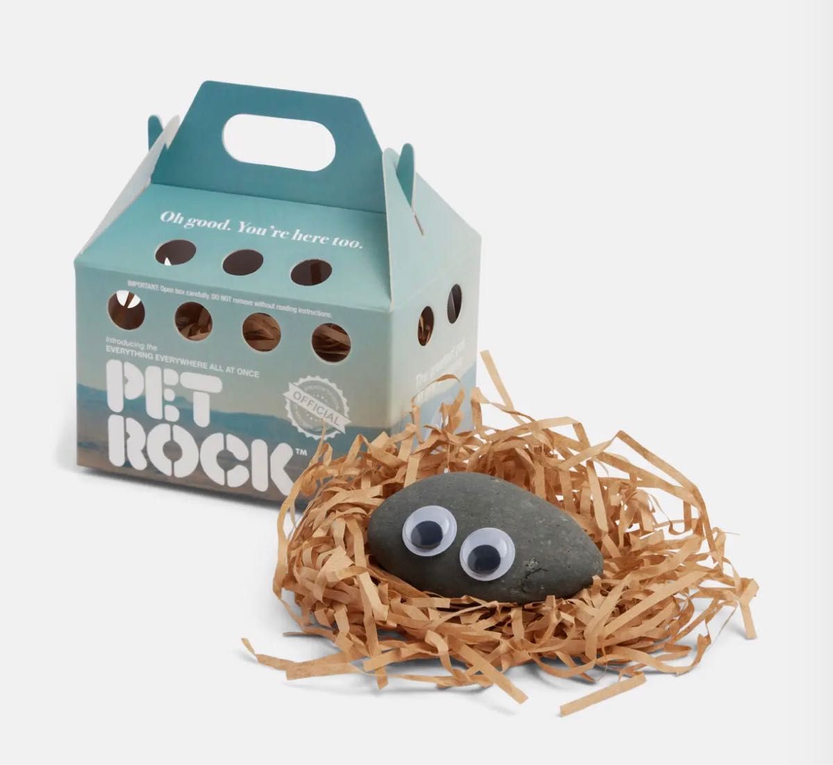 早い者勝ち ラス1 エブエブ ペットロック