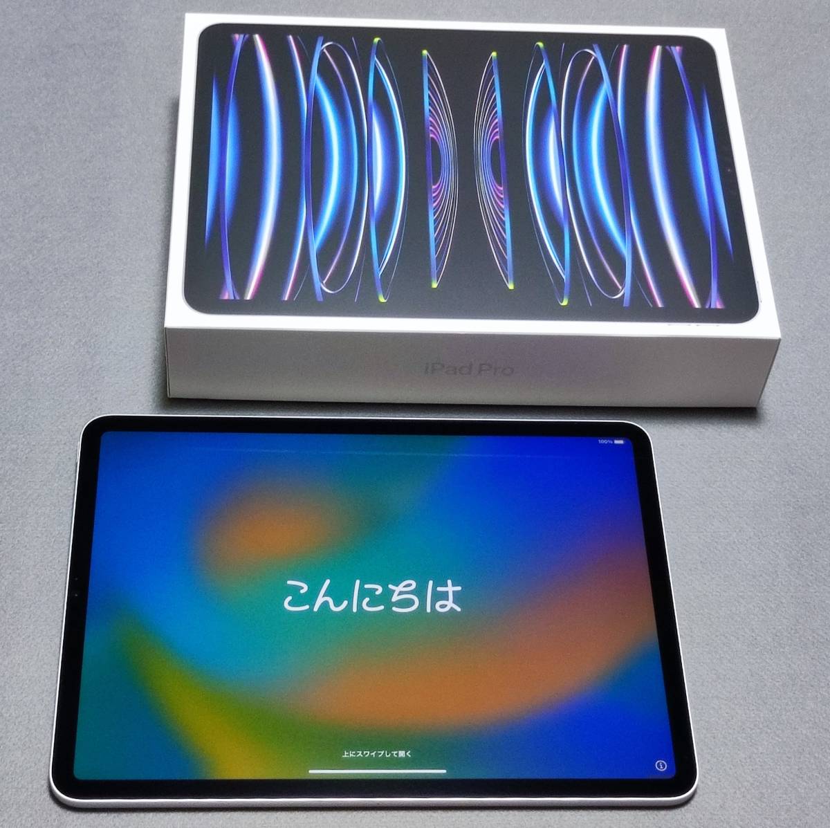 iPad Pro11第四世代Wi-Fiモデル128GBシルバー ケース付 | jetcondor.com