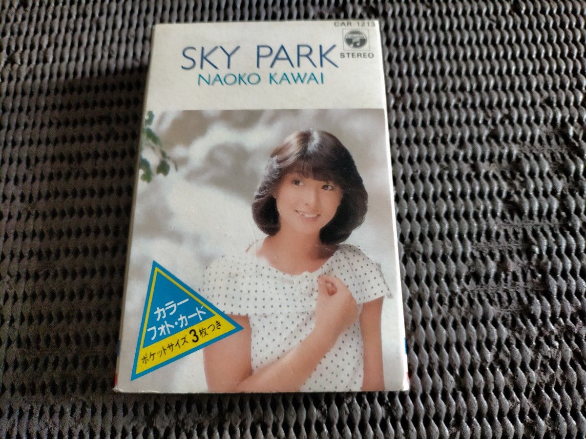 SKY PARK  カセットテープ 河合奈保子