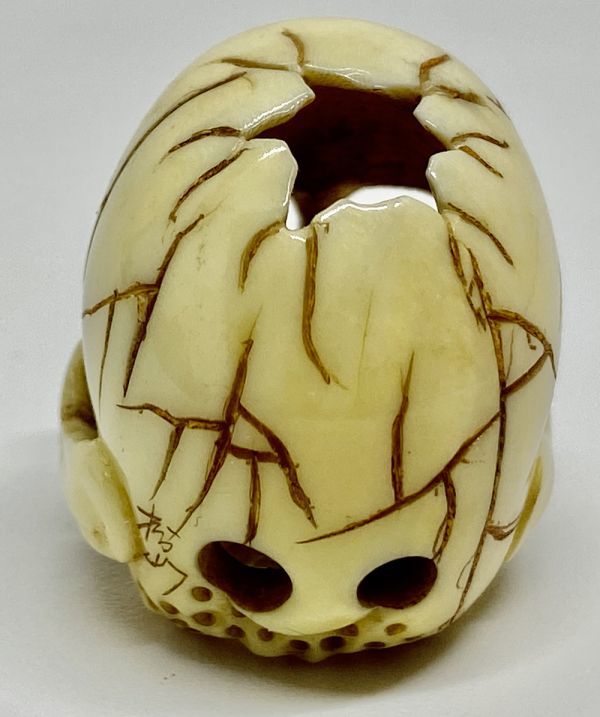 【本】象牙風☆在銘 髑髏彫刻　根付☆骸骨　ガイコツ　skull netsuke_画像4