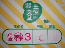 【高知県産】高知ブランド 丸鴨 土佐文旦 ◎2L 約10ｋｇの画像3