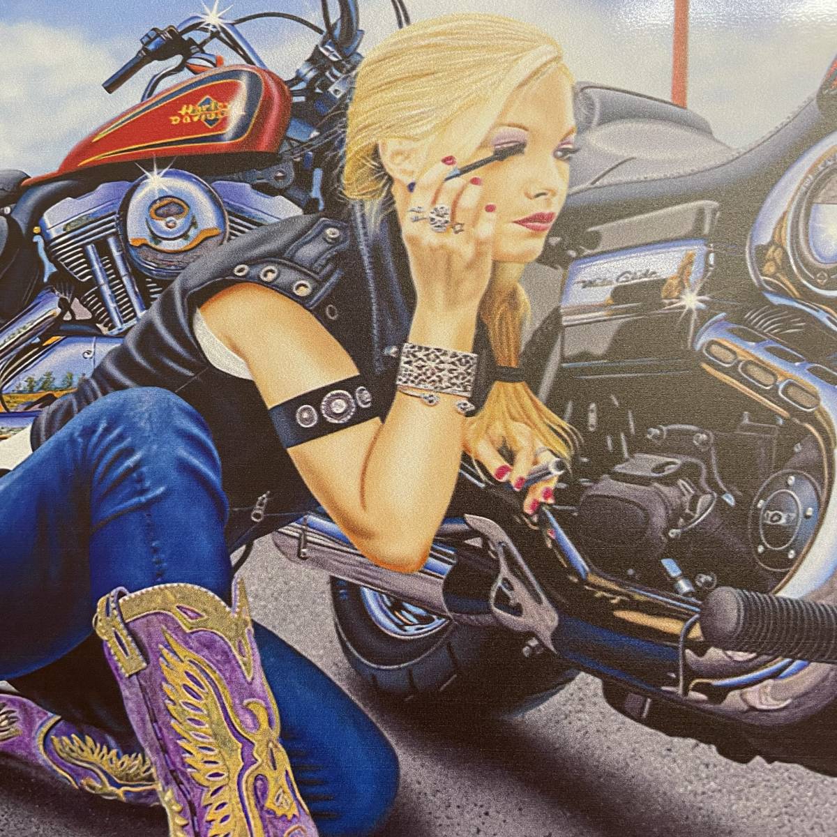 2枚 新品 壁掛けプレート バイク女子 アメリカン ハーレーダビッドソン Harley-Davidson セクシーガール パネル 壁飾り インテリア  ブリキ｜PayPayフリマ
