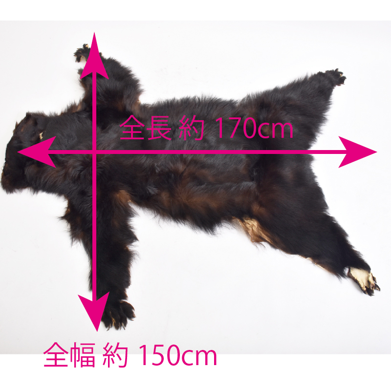 ブラックベア】 毛皮 原皮 一点もの カナダ産 リアルファー 熊 ベアー