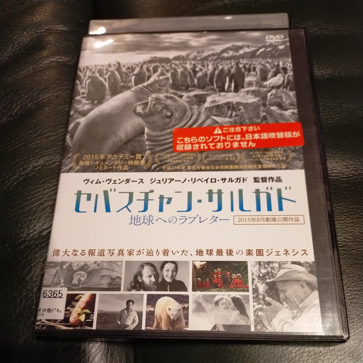 DVD　セバスチャンサルガド　地球へのラブレター_画像1