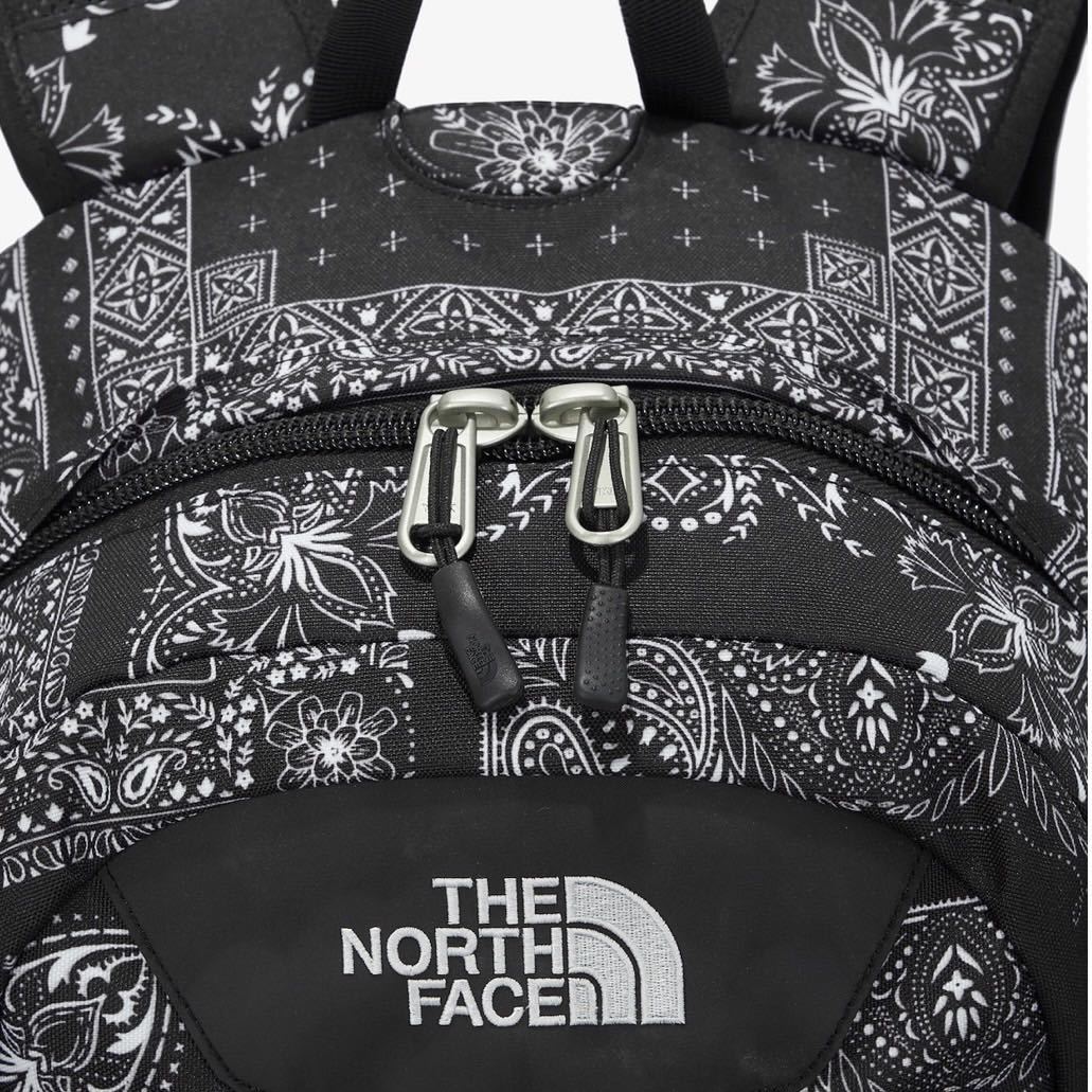 【新品】THE NORTH FACE BIG SHOT リュック ペイズリー 8
