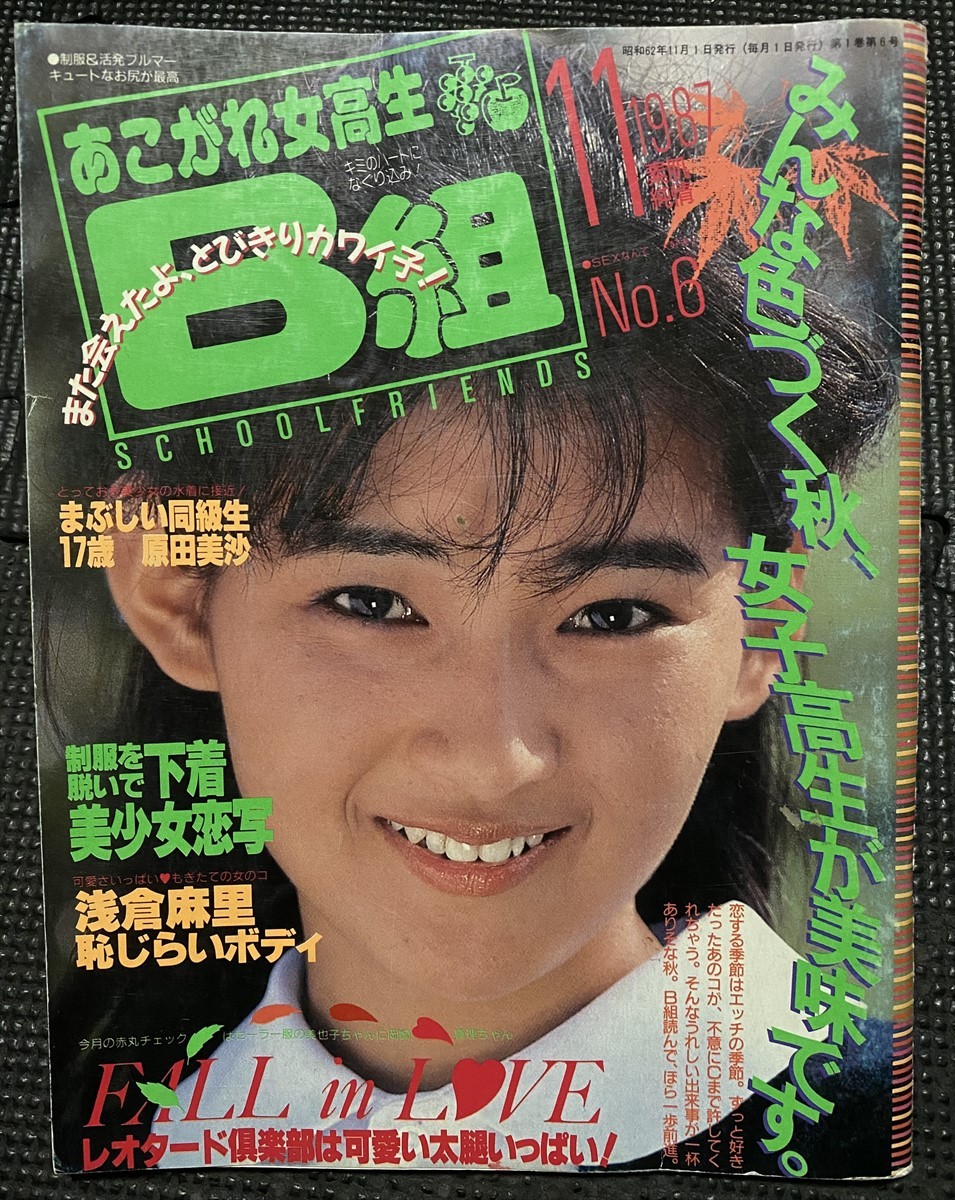 Yahoo!オークション - あこがれ女高生B組 1988 - その他 Yahoo!オークション - あこがれ女高生B組 1988 - その他