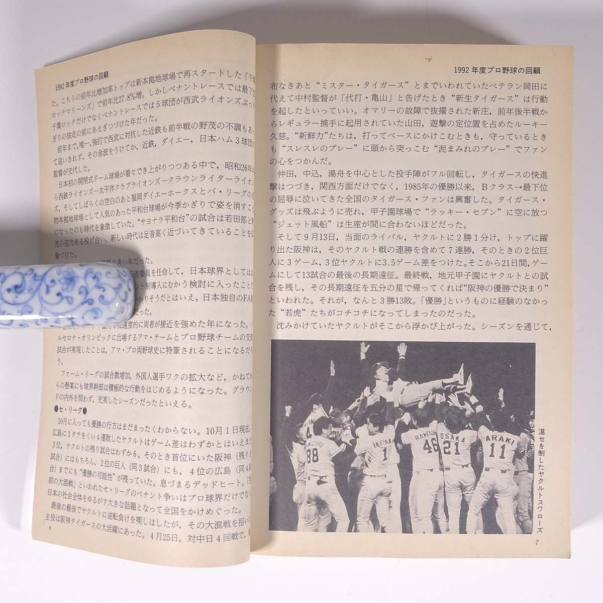 ベースボール・レコード・ブック 1993 日本プロ野球記録年鑑 ベースボール・マガジン社 単行本 プロ野球 ※状態やや難_画像7