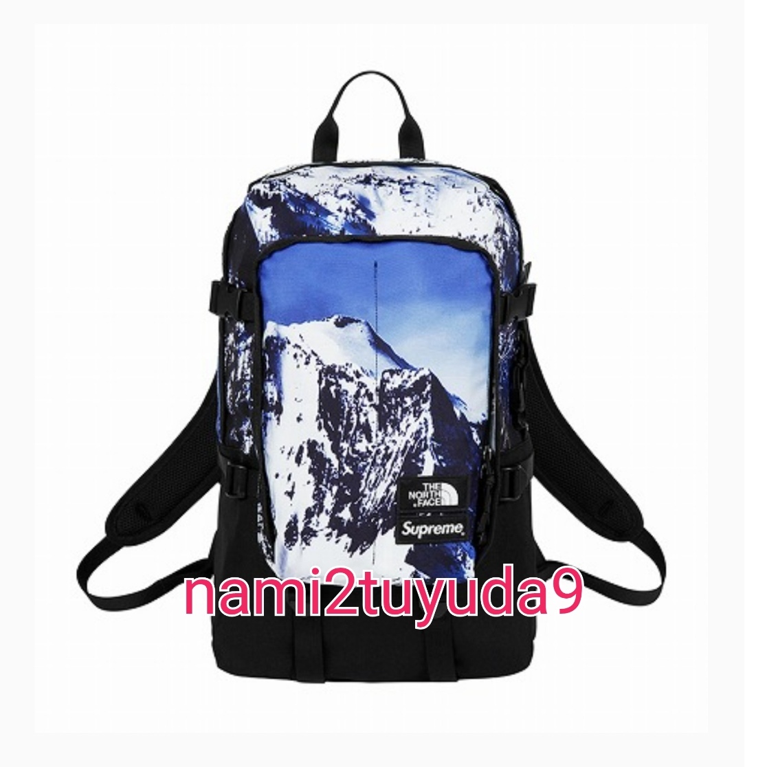 【新品・未使用】 激レア Supreme The North Face Mountain Expedition Backpack バックパック 17AW 雪山 ノースフェイス