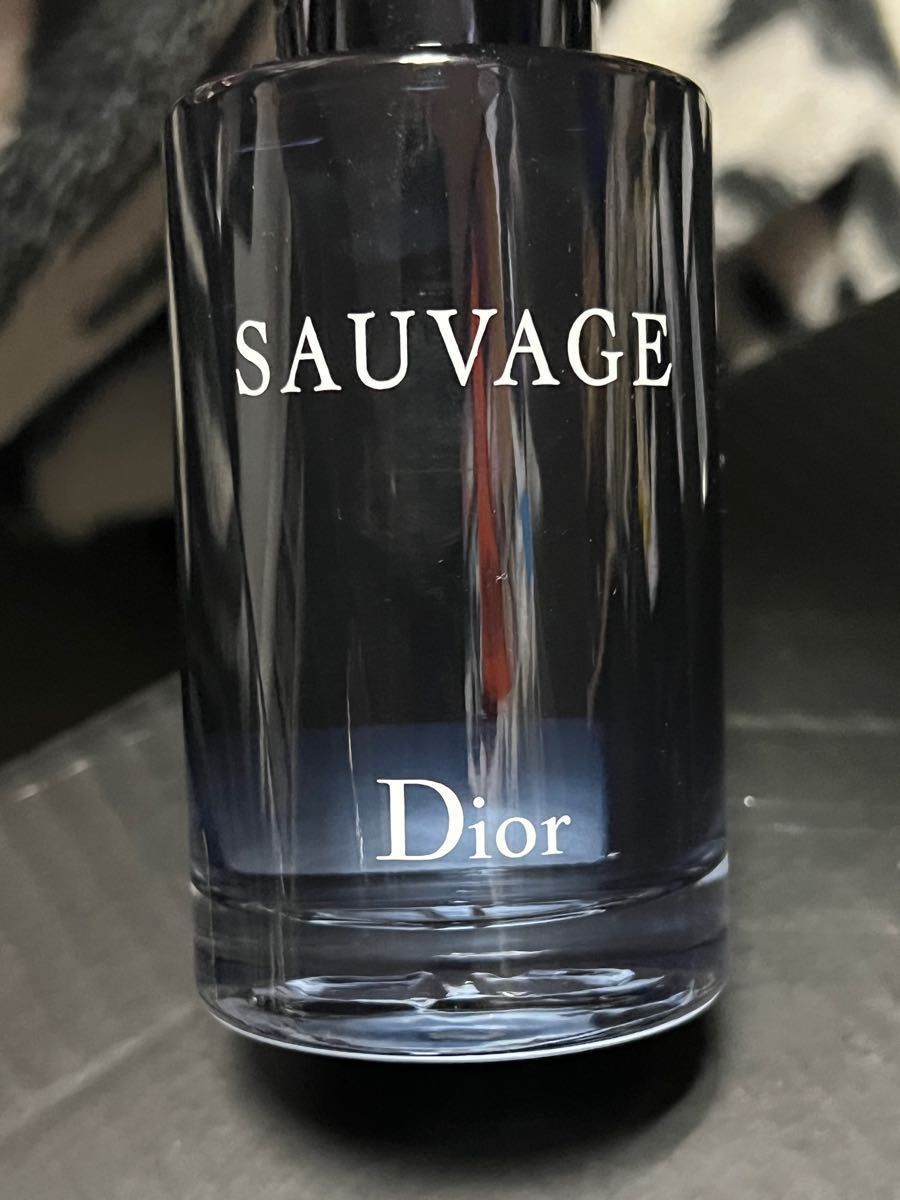 ソヴァージュ オードゥ トワレ 100ml | serbhall.net ソヴァージュ オードゥ トワレ 100ml | serbhall.net