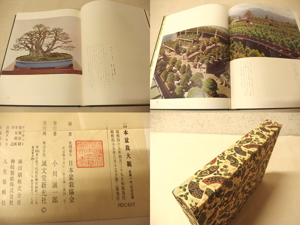 0331014h[ Japan bonsai large . Japan bonsai association compilation ] Showa era 45 year 8 month 15 day second version issue / used book@/ boxed 