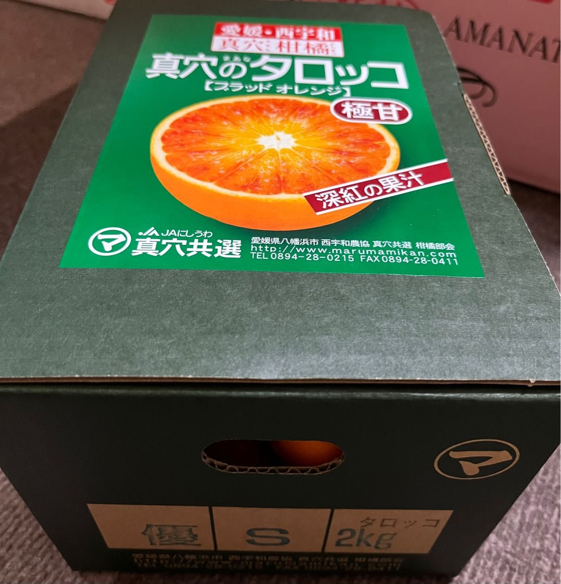 真穴のタロッコ ブラッドオレンジ 愛媛県産 箱込み2kg 化粧箱 柑橘