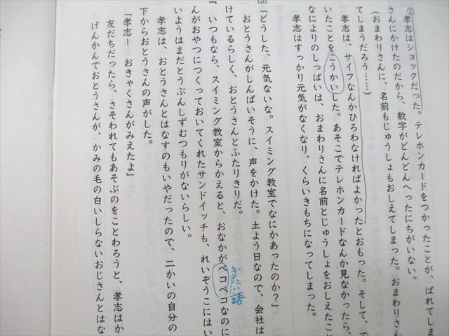 UD27-097 日能研 小5 夏期特別講座 国語 チャレンジ・ザ・長文/記述の一歩 テキスト 未使用 2020 計2冊 05s2B_画像4