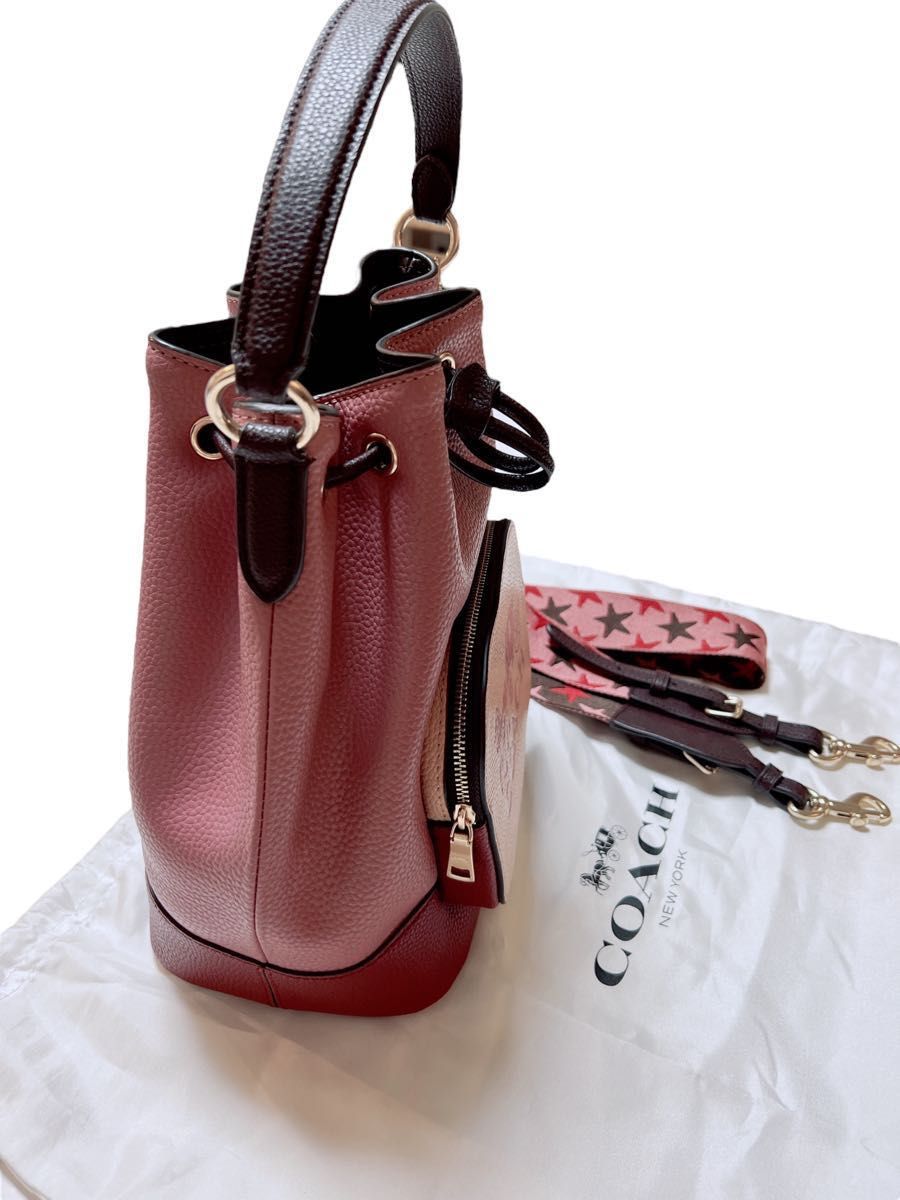 生産完了商品 コーチ COACH 巾着ショルダーバッグ キルティング C6955
