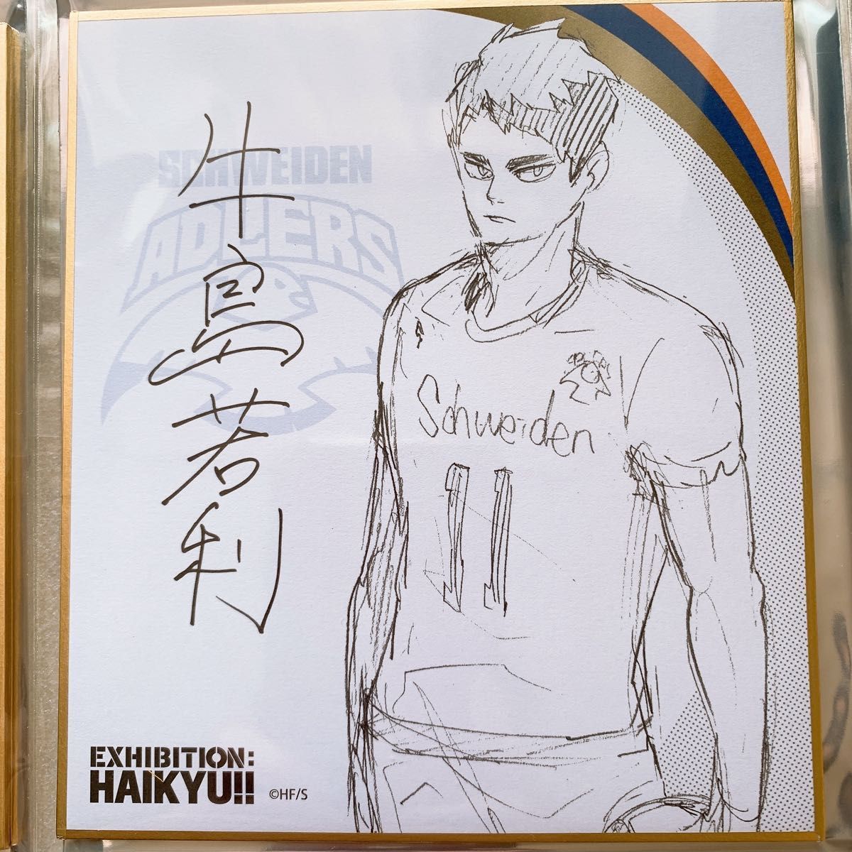 ハイキュー 展 Final ファイナル サイン色紙 トレーディング色紙 ハイキュー 展 Final ファイナル サイン色紙 トレーディング色紙