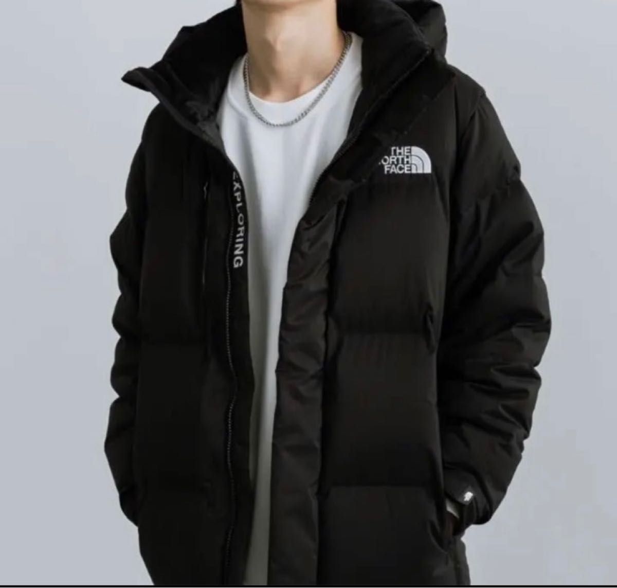 22-23 ノースフェイス WhiteLabel L【CHALLENGE AIR DOWN JACKET