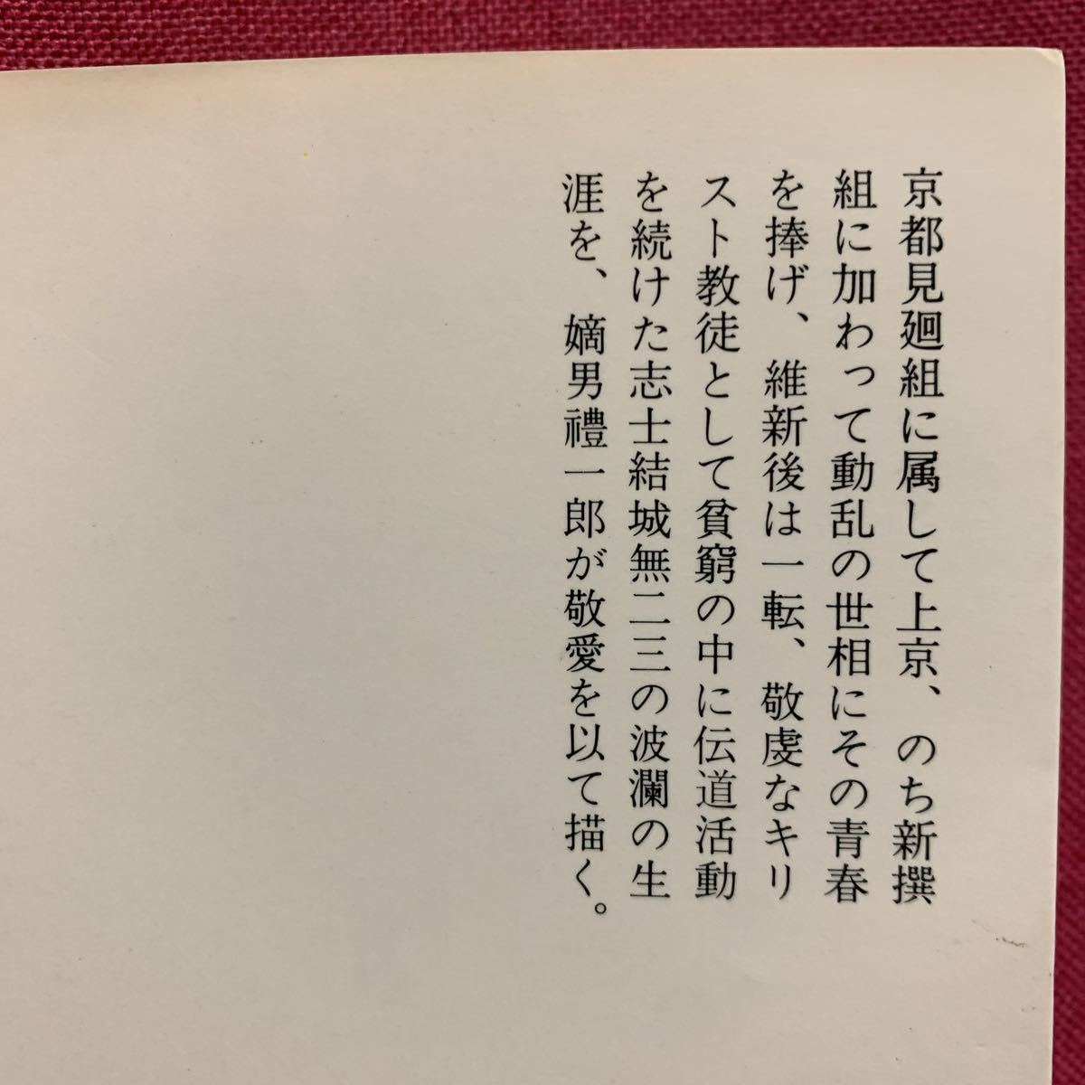 旧幕新撰組の結城無二三　禮一郎中公文庫天狗党甲州山梨県大橋訥庵近藤勇土方歳三沖田総司伊東甲子太郎新選組戊辰戦争鳥羽伏見幕末明治維新_画像8