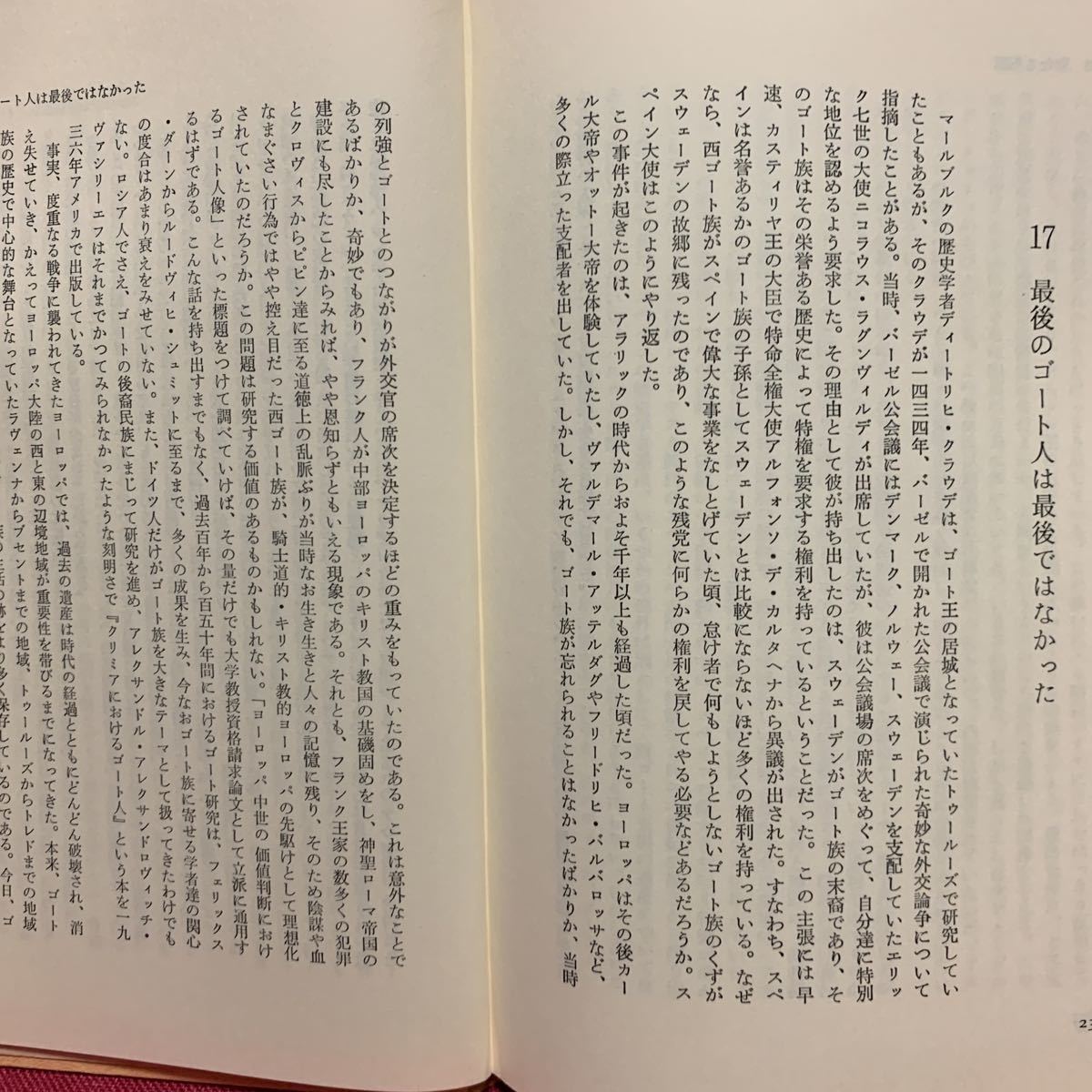 ゴート族　ゲルマン民族大移動の原点ヘルマン・シュライバー岡淳永井潤子中田健一南フランススペインローマ帝国サルノ河トロサトレドハレス_画像6