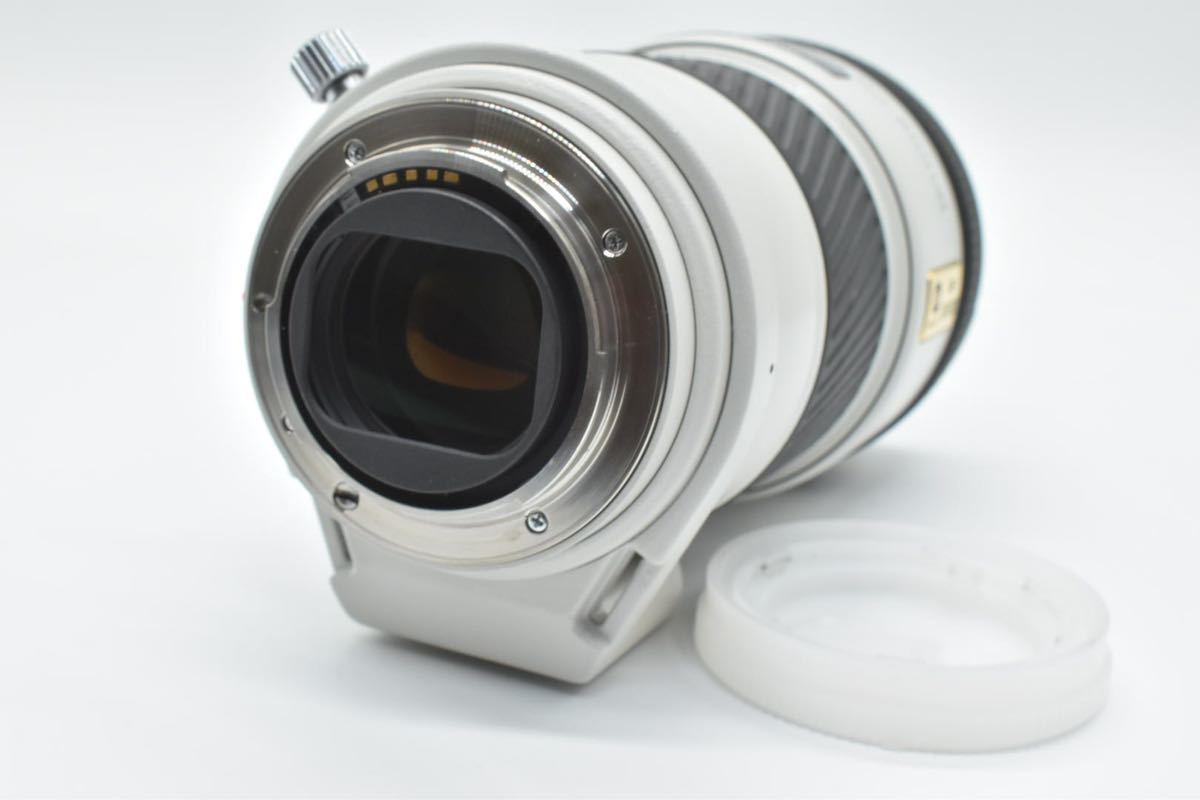 ほぼ新品!ミノルタMinolta AF APO TELE ZOOM 80-200mm F2.8 SONY A