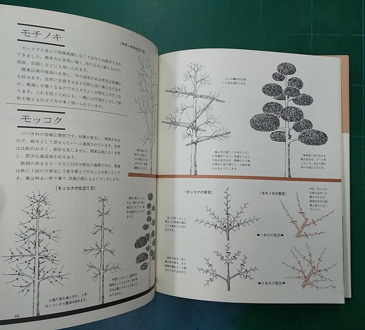 庭木づくり　よくわかるオール図解　種類別　剪定・整枝・管理　主婦と生活社刊　●H2319_画像5