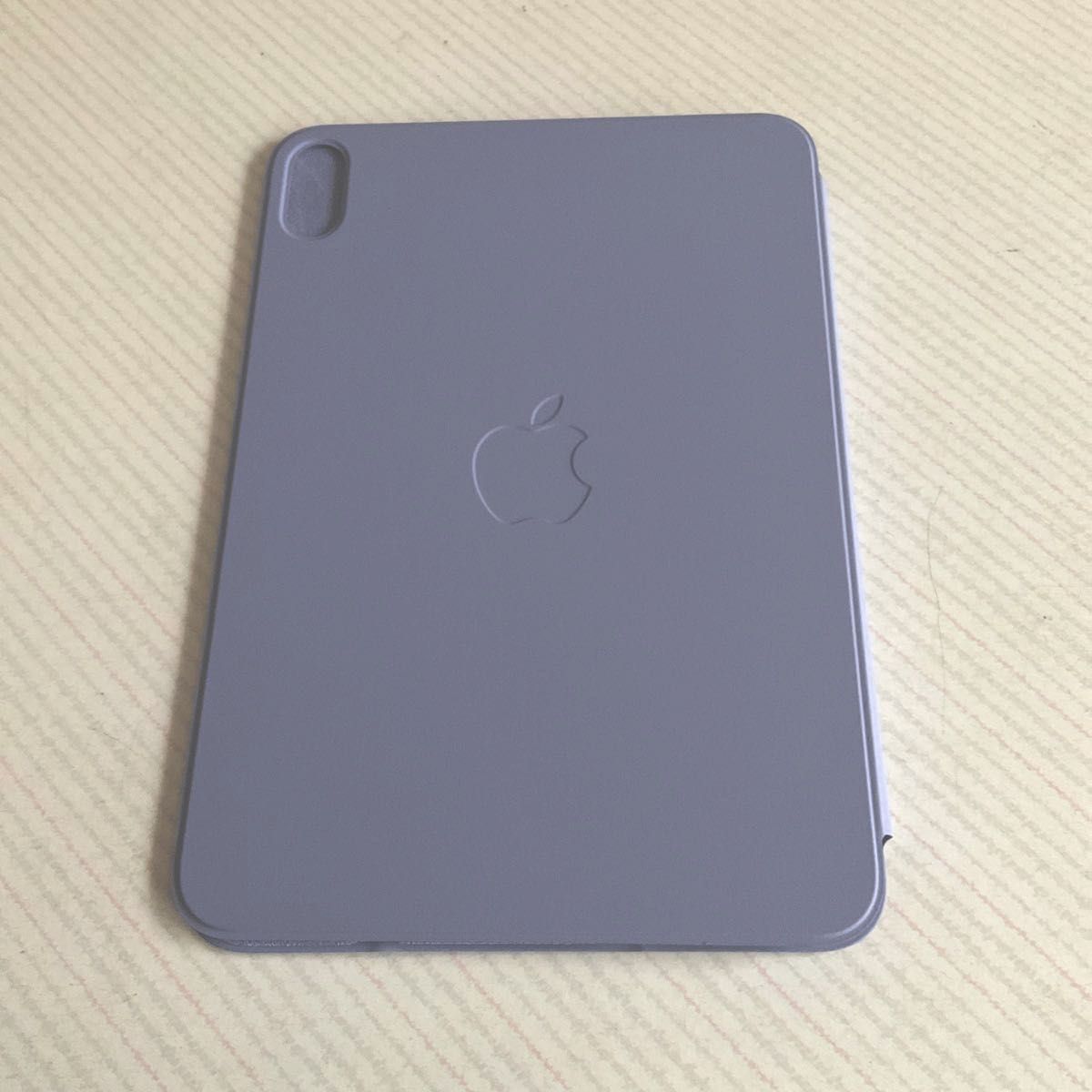 Apple 用Smart Folio (iPad mini - 第6世代) - イングリッシュ Apple 用Smart Folio (iPad mini - 第6世代) - イングリッシュ