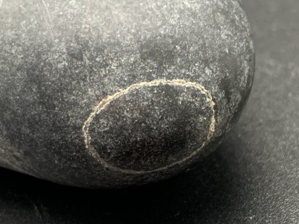 【石】 観賞石 『白線（円）のある黒い石』125.5ｇ 石コレクター/硯石/水石/盆石 定形外可 M1217Bの画像5