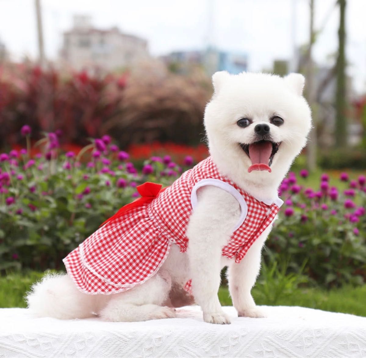 大人気　新作　可愛いペット服　犬服猫服 ワンピース  リボン　パール　レッドLサイズ