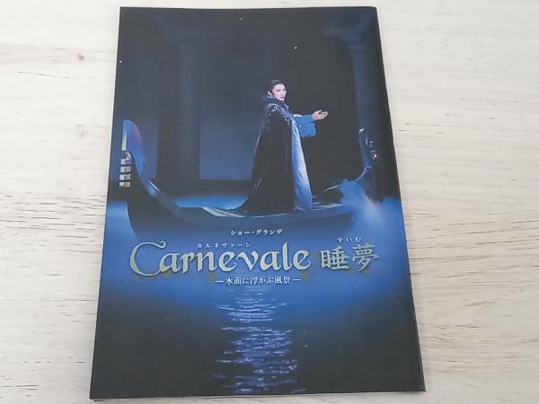 宝塚歌劇団雪組 DVD ソルフェリーノの夜明け-アンリー・デュナンの生涯-/Carnevale 睡夢_画像5