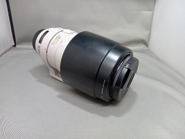 Canon EF100-400mm4.5-5.6L EF 100-400mm 1:4.5-5.6L IS USM 2577A001 交換レンズ