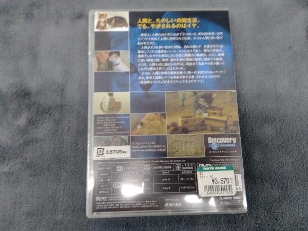 未開封 DVD The Ultimate Guide ネコ_画像2