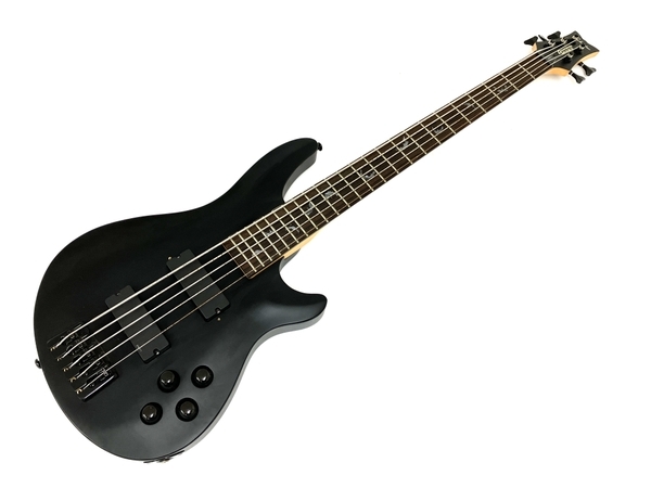 ヤフオク! - SCHECTER DIAMOND SERISE DAMIE...