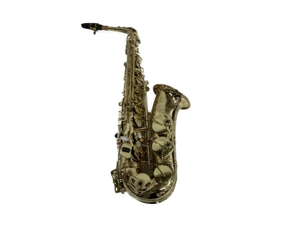 SELMER セルマー SuperAction80 SERIE II SA80II アルトサックス 中古 良好 S7338951の画像1