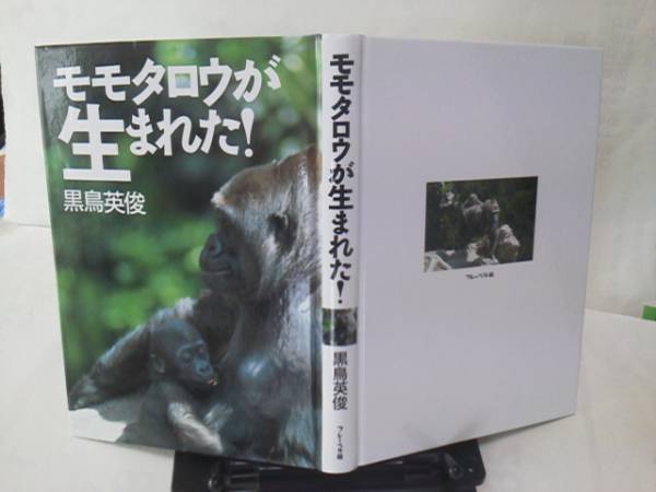 【送料無料にしました】『モモタロウが生まれた』黒鳥英俊/フレーベル館/ゴリラ/なかなか出ない/初版