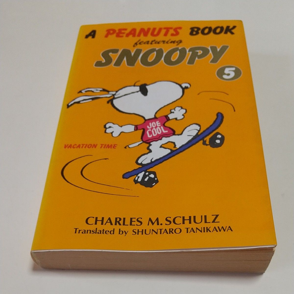 A Peanuts Book featuring SNOOPYスヌーピー 21冊 - その他