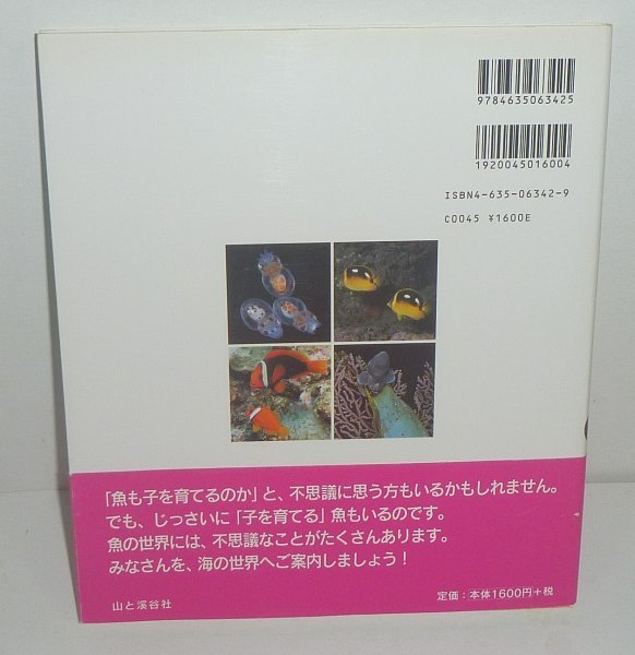 魚2005『魚の子育てのひみつ／Nature Discovery Books』 鈴木克美・文／小林安雄・写真_画像2