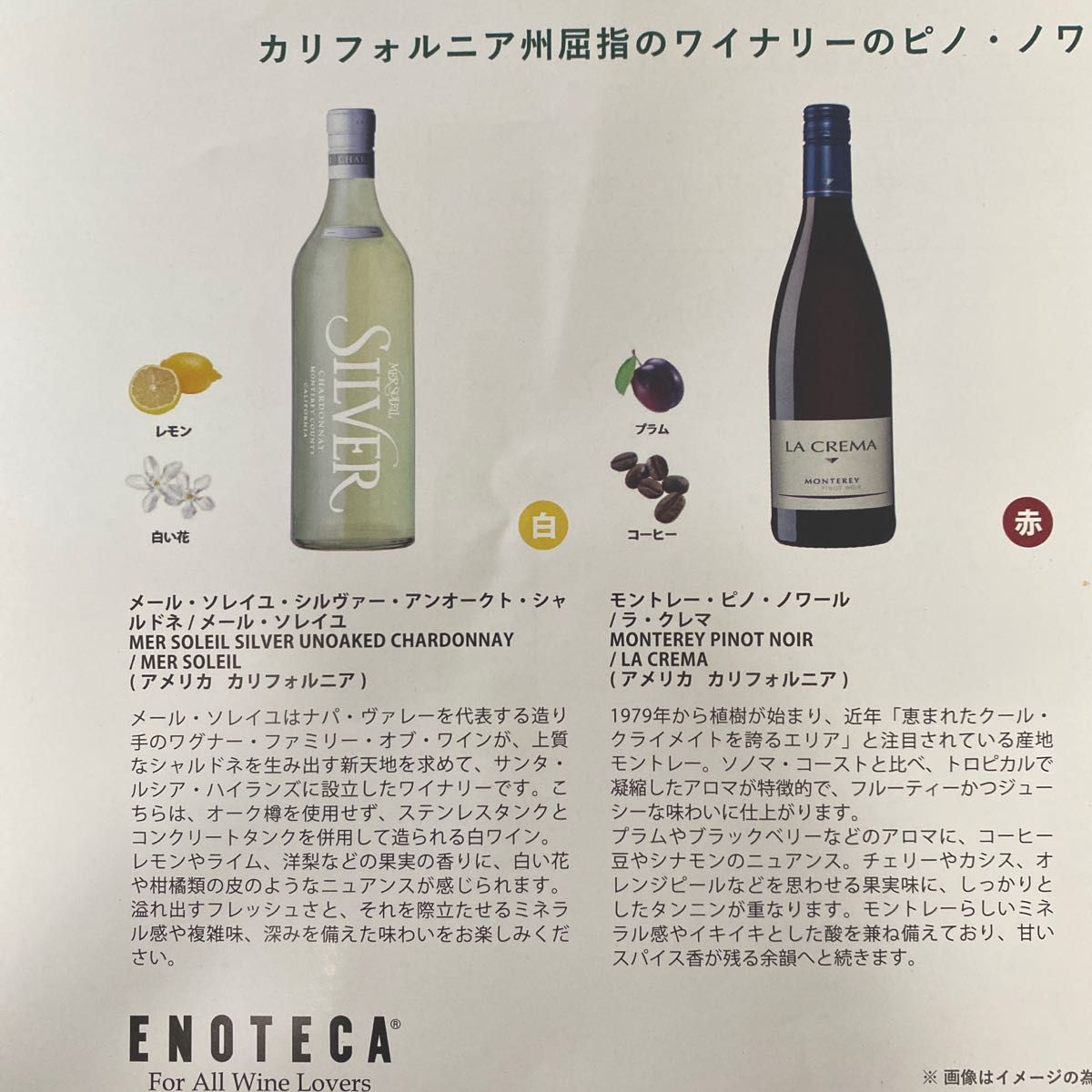 エノテカ 高級ワイン飲み比べ 5選 | noonanwaste.com
