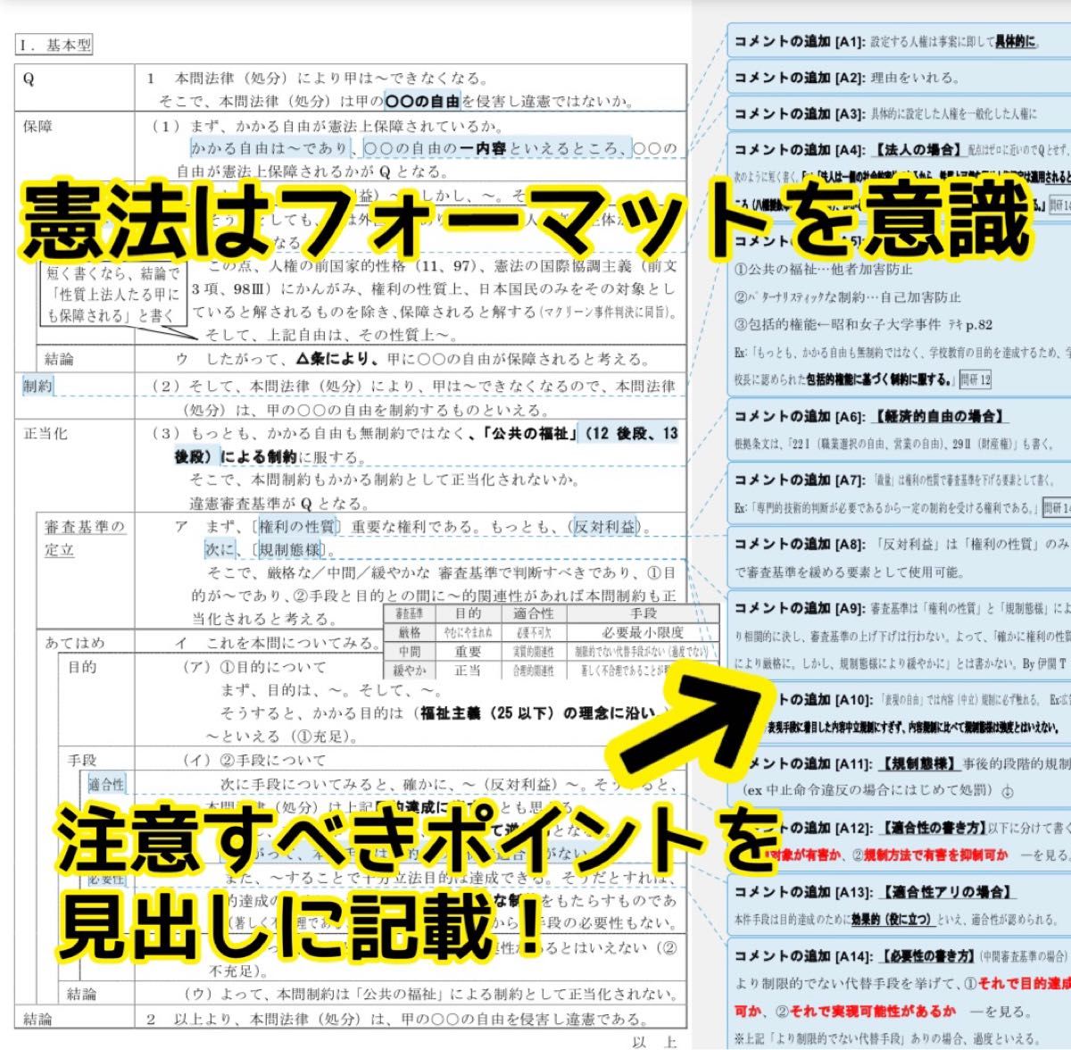 【紙媒体】司法試験合格者使用の自作論証集