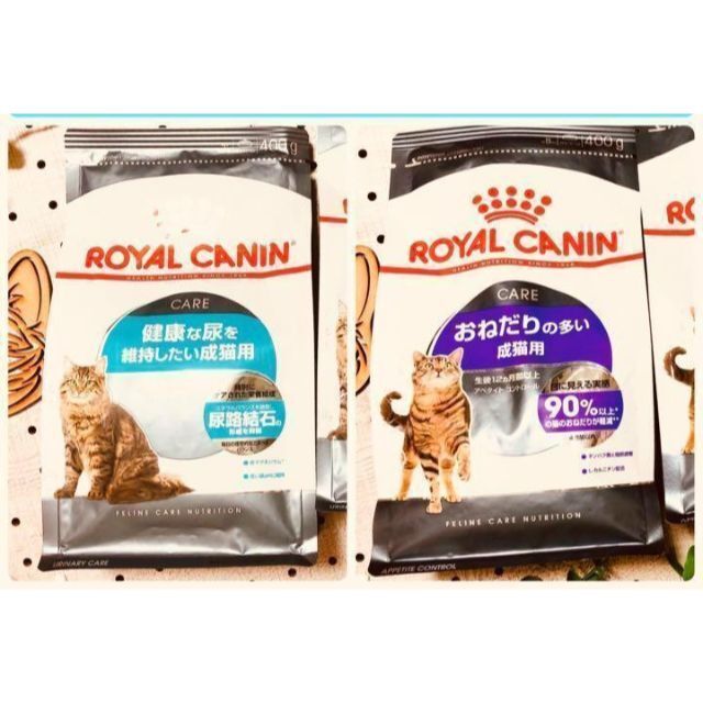 猫まっしぐら ロイヤルカナン 猫 《ユリナリーケア》《おねだりの多い