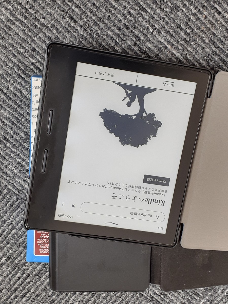 Kindle OASIS a little with defect 