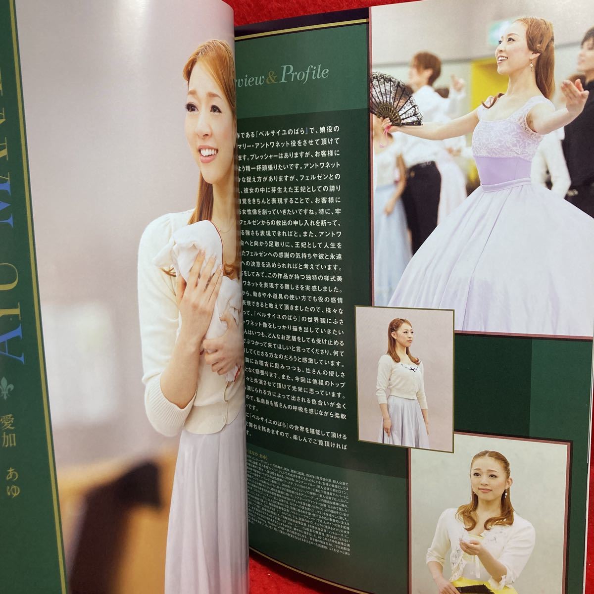 ▼TAKARAZUKA 宝塚大劇場 雪組公演 2013 ベルサイユのばら フェルゼン編 パンフレット 壮一帆 愛加あゆ 凰稀かなめ 柚希礼音 早霧せいな_画像4