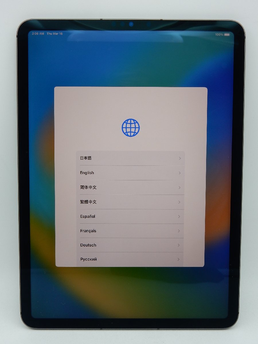 値引きする iPad Pro 11インチ Wi-Fi+Cellular 256GB ジャンク asakusa