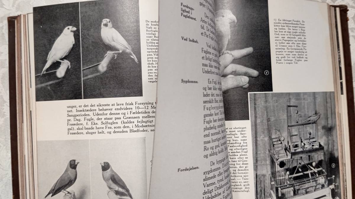 アンティーク 洋書 1939年 デンマーク ハードカバー 本革古書装丁 HAANDBOG FOR NUTIDSHJEM BAND Ⅲ 現代住宅ハンドブック vol.3_画像9